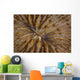 Detail Mushroom Coral Reef Wall Decal