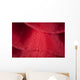 Detail Ribbon Spanish Dancer Wall Decal