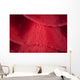Detail Ribbon Spanish Dancer Wall Decal