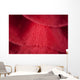 Detail Ribbon Spanish Dancer Wall Decal