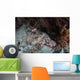 Crocodilefish Lies Reef Indonesia Wall Decal