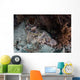 Crocodilefish Lies Reef Indonesia Wall Decal