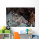 Crocodilefish Lies Reef Indonesia Wall Decal