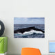 Large Humpback Whale Swims Wall Decal