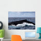 Large Humpback Whale Swims Wall Decal