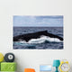 Large Humpback Whale Swims Wall Decal