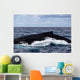 Large Humpback Whale Swims Wall Decal