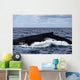 Large Humpback Whale Swims Wall Decal