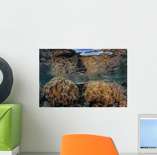 Soft Corals Thrive Shallow Wall Decal