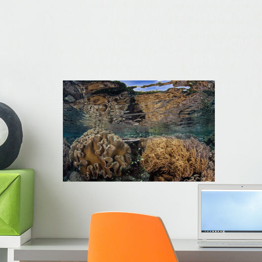 Soft Corals Thrive Shallow Wall Decal