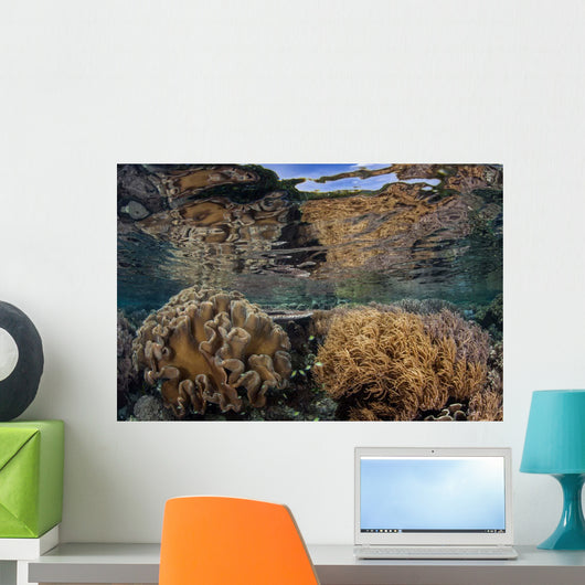 Soft Corals Thrive Shallow Wall Decal