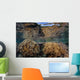 Soft Corals Thrive Shallow Wall Decal