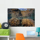 Soft Corals Thrive Shallow Wall Decal