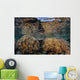 Soft Corals Thrive Shallow Wall Decal
