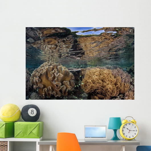 Soft Corals Thrive Shallow Wall Decal