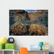 Soft Corals Thrive Shallow Wall Decal