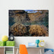 Soft Corals Thrive Shallow Wall Decal