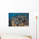 Massive Giant Clam Grows Wall Decal