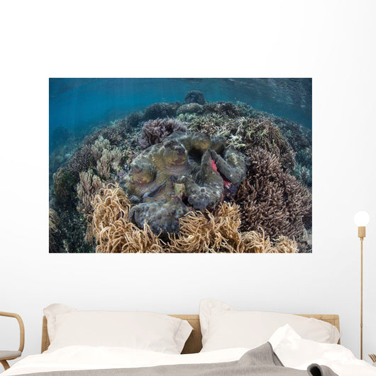 Massive Giant Clam Grows Wall Decal