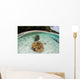 Giant Clams Grow Shallow Wall Decal