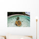 Giant Clams Grow Shallow Wall Decal