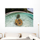 Giant Clams Grow Shallow Wall Decal