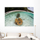 Giant Clams Grow Shallow Wall Decal