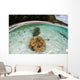 Giant Clams Grow Shallow Wall Decal
