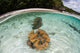 Giant Clams Grow Shallow Wall Decal