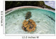 Giant Clams Grow Shallow Wall Decal