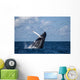 Large Humpback Whale Breaches Wall Decal