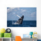 Large Humpback Whale Breaches Wall Decal
