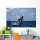 Large Humpback Whale Breaches Wall Decal