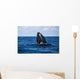 Humpback Whale Begins to Wall Decal Design 2