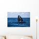 Humpback Whale Begins to Wall Decal Design 2