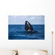 Humpback Whale Begins to Wall Decal Design 2