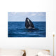 Humpback Whale Begins to Wall Decal Design 2