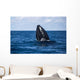 Humpback Whale Begins to Wall Decal Design 2
