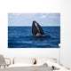 Humpback Whale Begins to Wall Decal Design 2