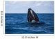 Humpback Whale Begins to Wall Decal Design 2