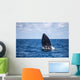Humpback Whale Begins to Wall Decal Design 1