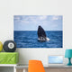 Humpback Whale Begins to Wall Decal Design 1