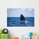 Humpback Whale Begins to Wall Decal Design 1