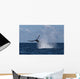 Humpback Whale Slaps Its Wall Decal Design 3