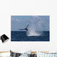 Humpback Whale Slaps Its Wall Decal Design 3