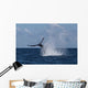 Humpback Whale Slaps Its Wall Decal Design 3