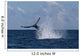 Humpback Whale Slaps Its Wall Decal Design 3