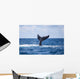 Humpback Whale Slaps Its Wall Decal Design 2
