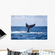 Humpback Whale Slaps Its Wall Decal Design 2