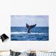 Humpback Whale Slaps Its Wall Decal Design 2
